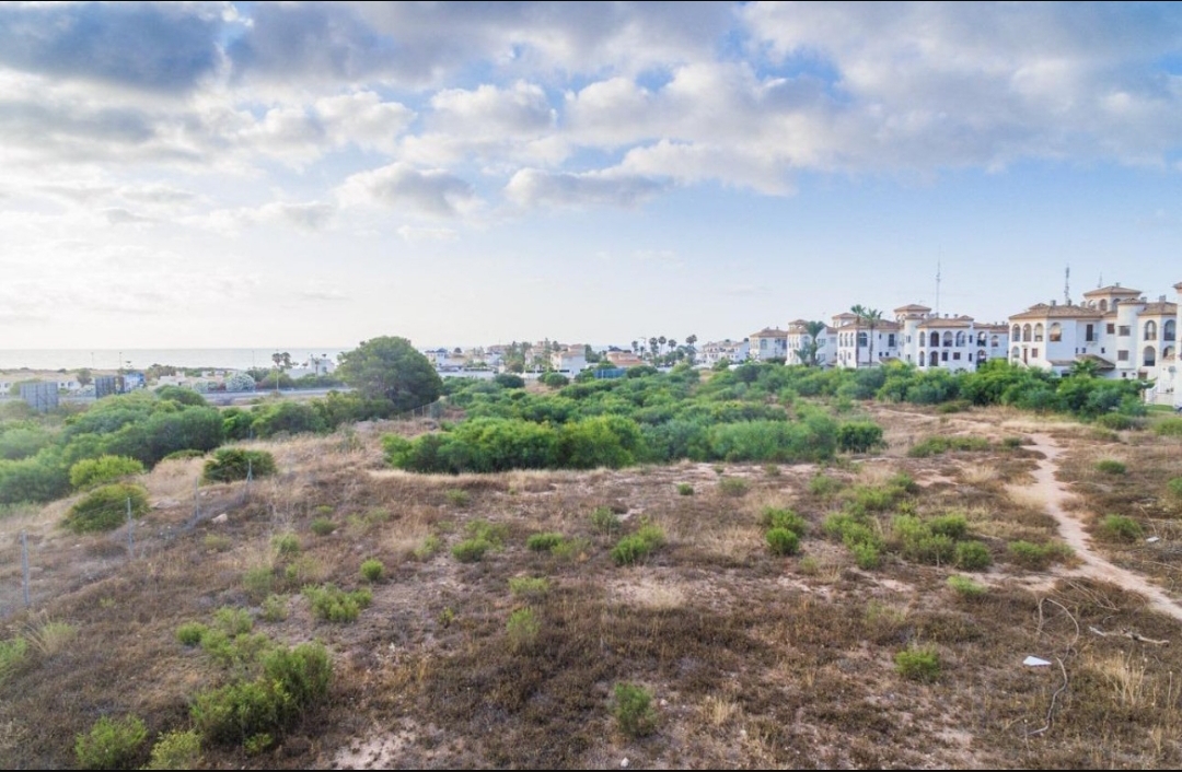 Exclusive New Build Apartments in Playa Flamenca, Orihuela Costa
