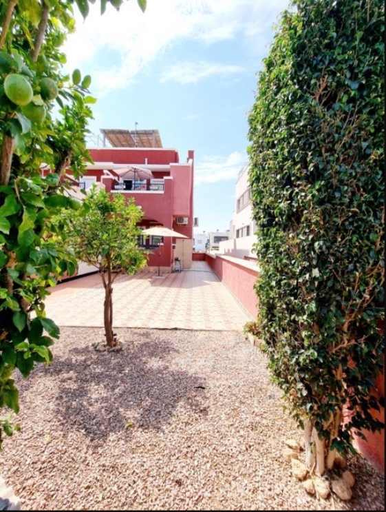 OFFRE ! Bungalow au rez-de-chaussée avec grand terrain à Los Altos/Villamartin.