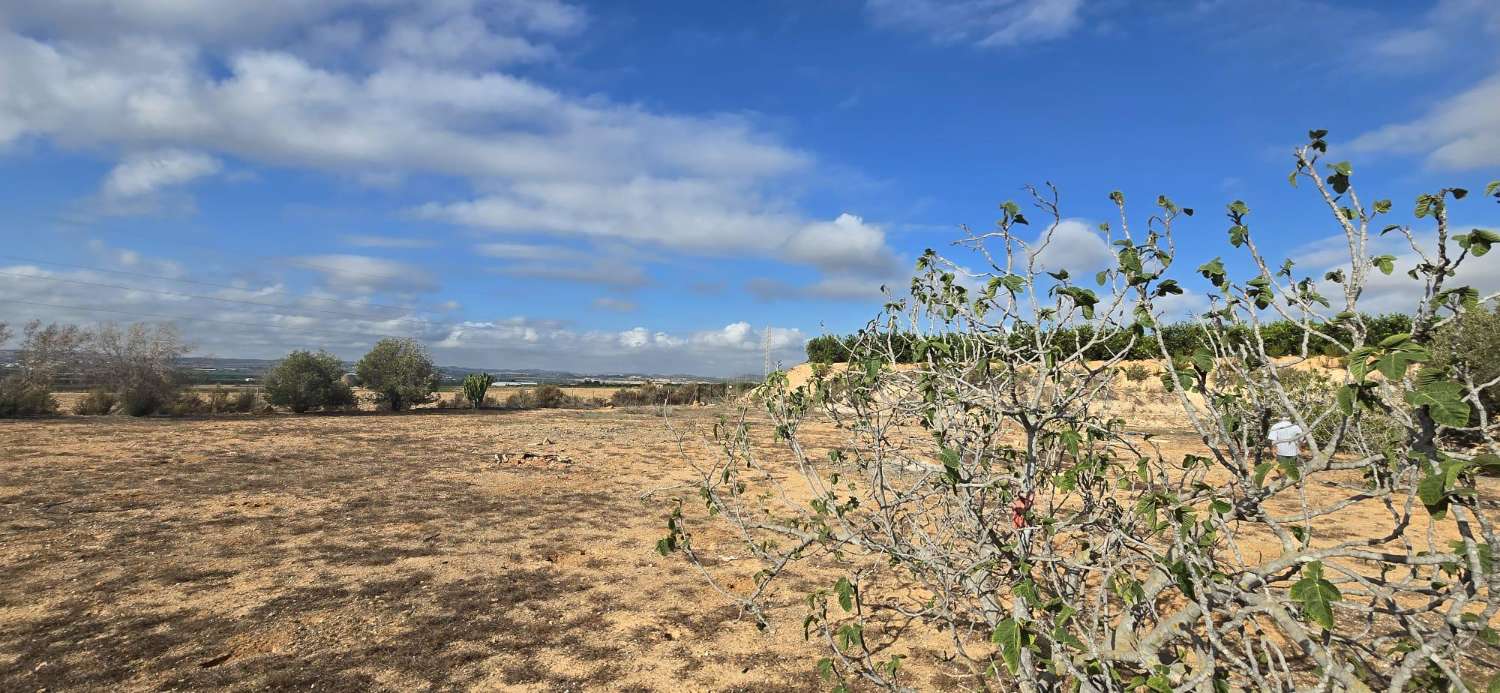 Country Property for sale in Los Montesinos