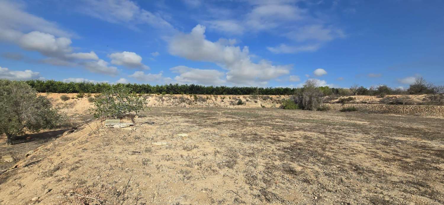 Country Property for sale in Los Montesinos