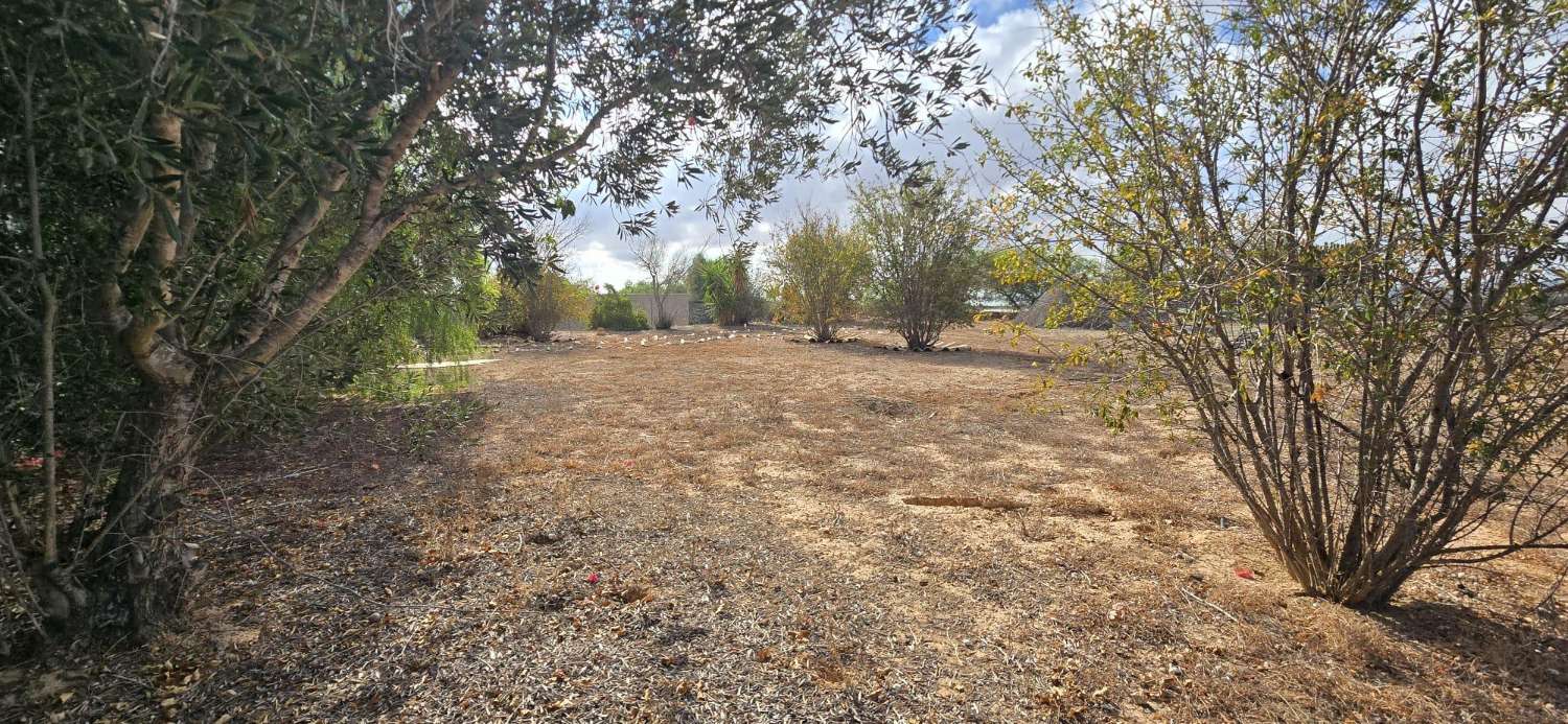 Country Property for sale in Los Montesinos