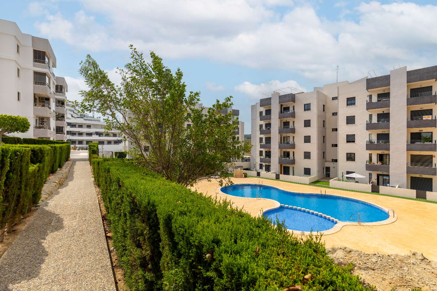 Magnificent San Miguel apartment
