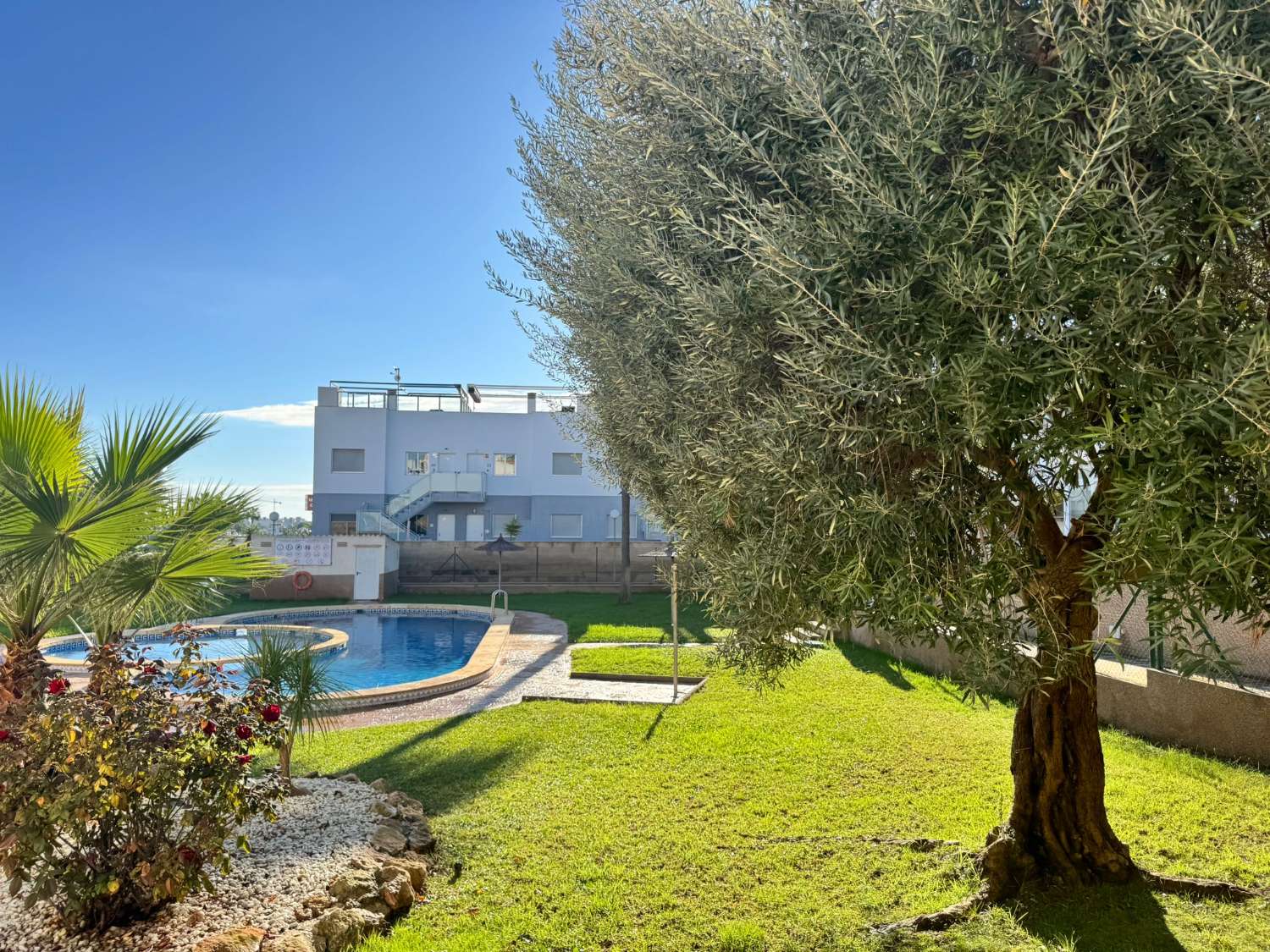 Apartment for sale – La Ciñuelica, Punta Prima apartment with solarium