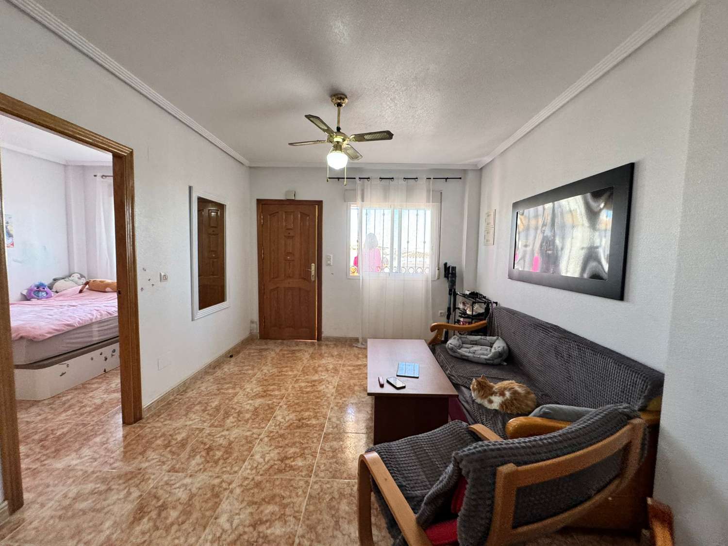 Apartment for sale – La Ciñuelica, Punta Prima apartment with solarium