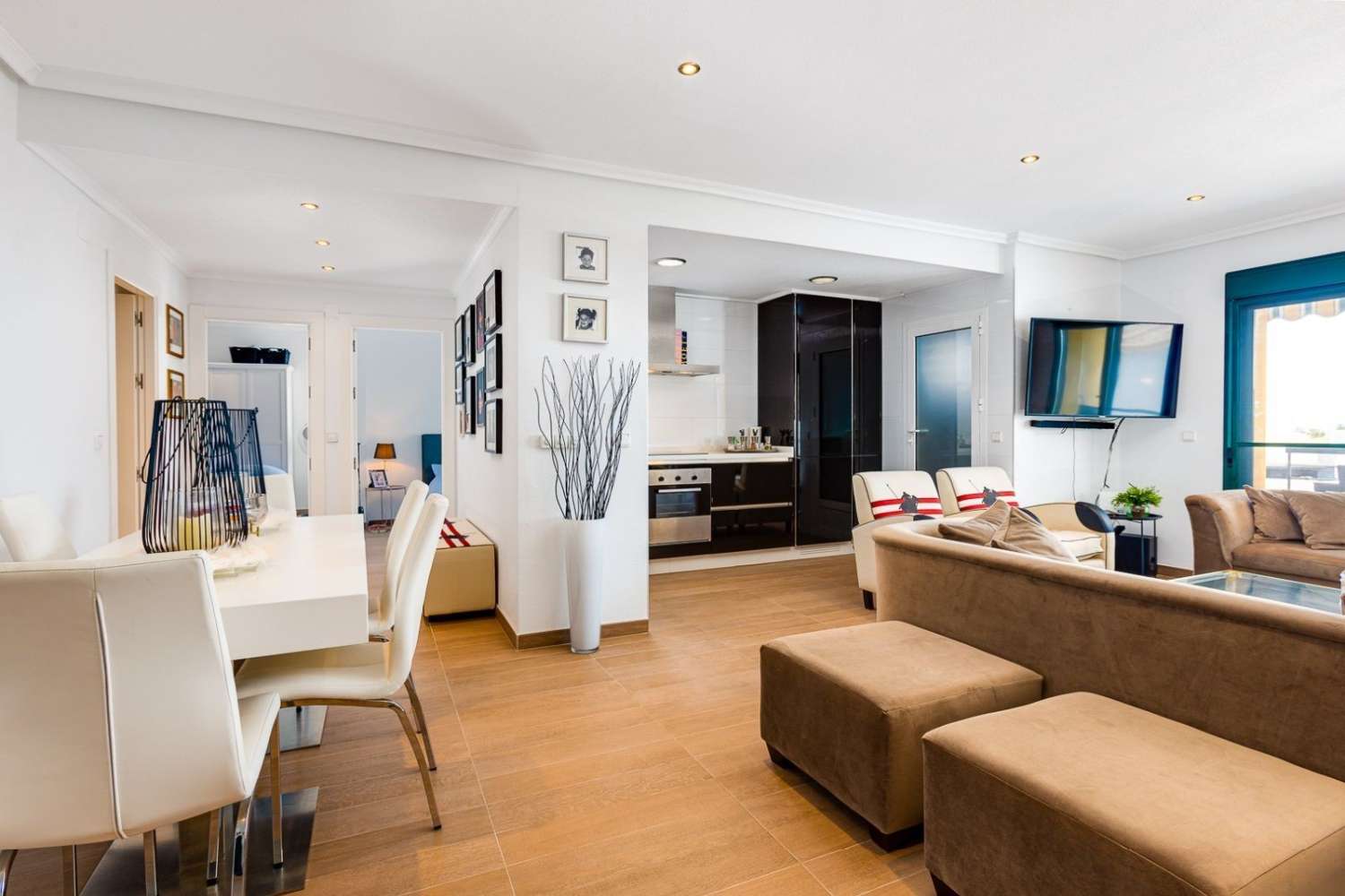 La Fuente penthouse apartment